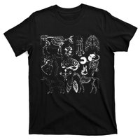 Veterinary Anatomy Animal Design T-Shirt