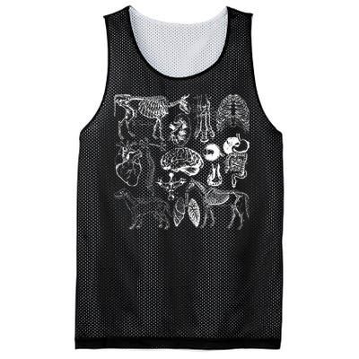 Veterinary Anatomy Animal Design Mesh Reversible Basketball Jersey Tank