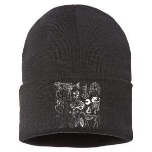 Veterinary Anatomy Animal Design Sustainable Knit Beanie