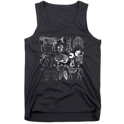 Veterinary Anatomy Animal Design Tank Top