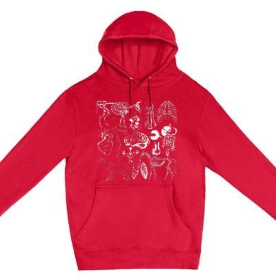 Veterinary Anatomy Animal Design Premium Pullover Hoodie