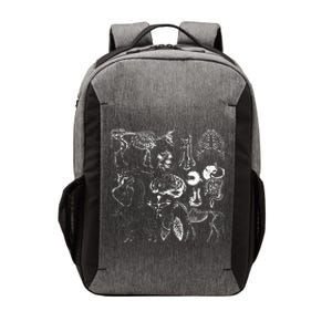 Veterinary Anatomy Animal Design Vector Backpack