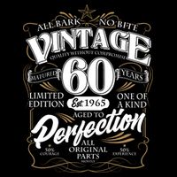 Vintage All Bark No Bite 60th Birthday Est 1965 Women's V-Neck T-Shirt