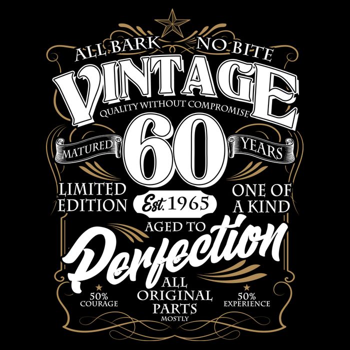 Vintage All Bark No Bite 60th Birthday Est 1965 Women's V-Neck T-Shirt