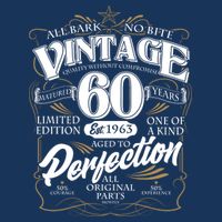 Vintage All Bark No Bite 60th Birthday Est 1963 T-Shirt