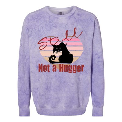 Valentine Angry Cat Still Not A Hugger No Hugs Please Colorblast Crewneck Sweatshirt