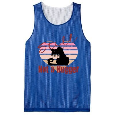 Valentine Angry Cat Still Not A Hugger No Hugs Please Mesh Reversible Basketball Jersey Tank