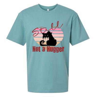 Valentine Angry Cat Still Not A Hugger No Hugs Please Sueded Cloud Jersey T-Shirt