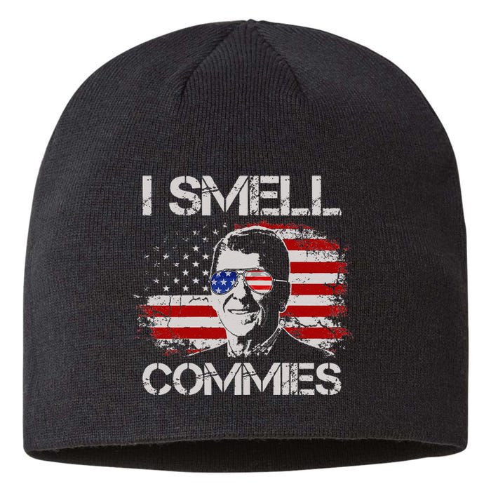 Vintage American Flag Funny Political I Smell Commies Sustainable Beanie