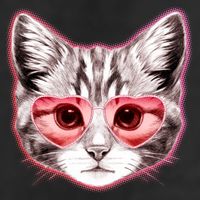 Valentine Cat Love Shades 7 Panel Mesh Trucker Snapback Hat