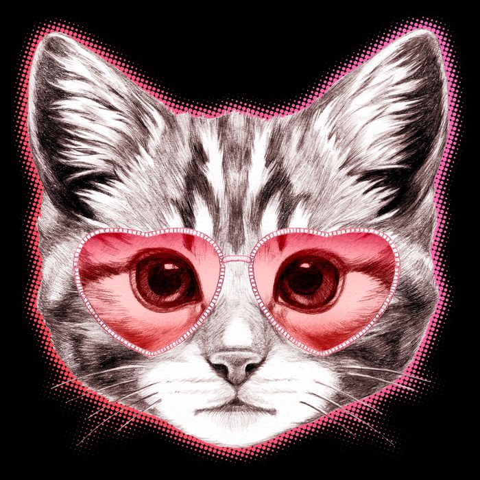 Valentine Cat Love Shades Bucket Hat
