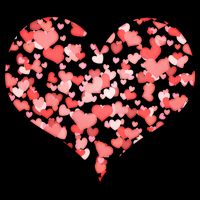 Valentine Multi Heart Of Love 16 in Basic Backpack