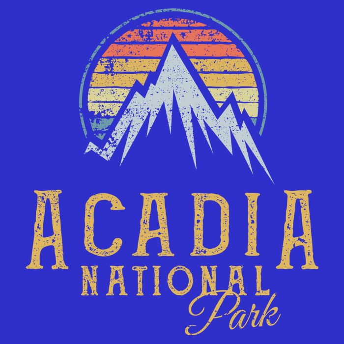 Vintage Acadia National Park Mountains Summit Meaningful Gift Womens Tank Top