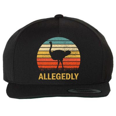 Vintage Allegedly Ostrich Retro Ostrich Lover Gift Wool Snapback Cap