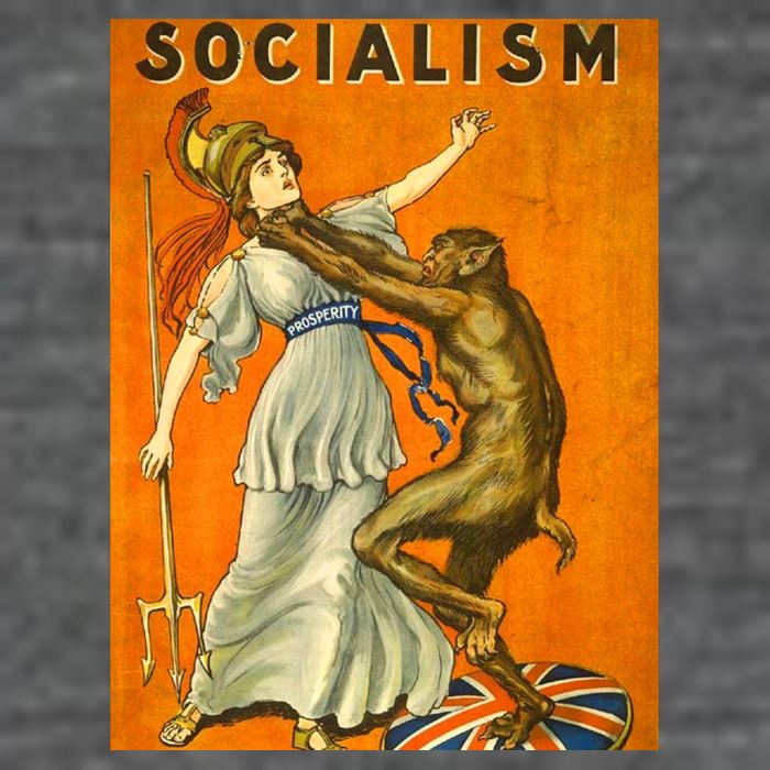 Vintage AntiSocialism Print T-Shirt