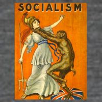 Vintage AntiSocialism Print Poster