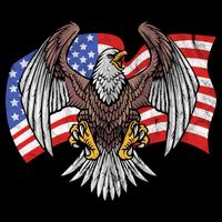 Vintage American Patriotic Eagle Tall T-Shirt