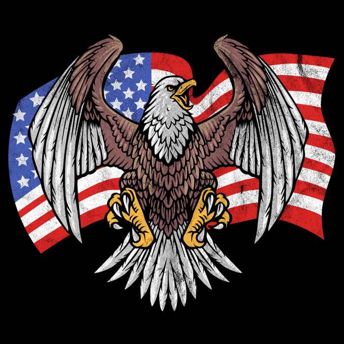 Vintage American Patriotic Eagle Tall T-Shirt