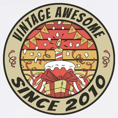 Vintage Awesome Since 2010 Birthday Gift T-Shirt