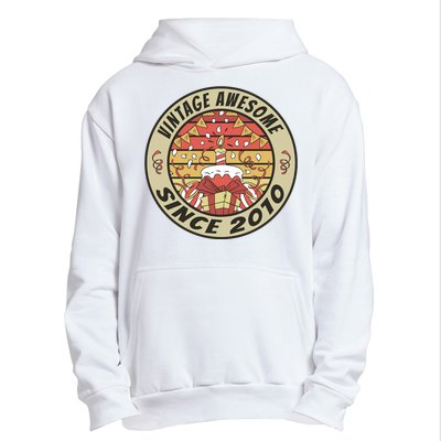 Vintage Awesome Since 2010 Birthday Gift Urban Pullover Hoodie