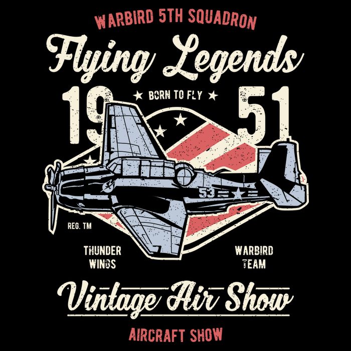 Vintage Air Show Aircraft Show Womens T-Shirt