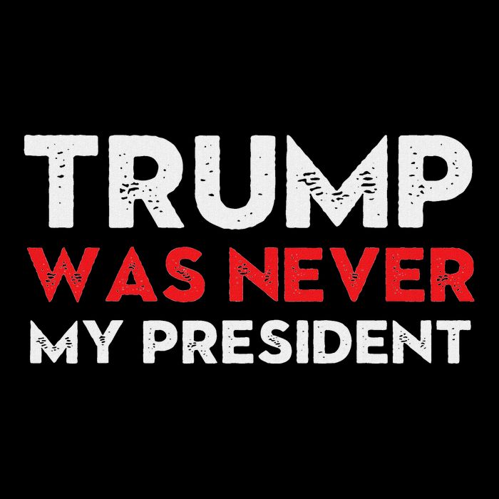 Vintage Anti Trump Was Never My President Trump Lost 8645 Hoodie