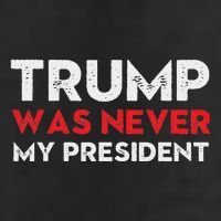 Vintage Anti Trump Was Never My President Trump Lost 8645 Beanie