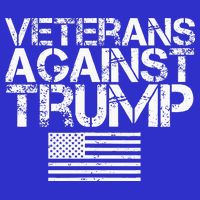 Veterans Against Trump  Kids Hoodie