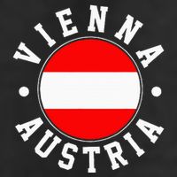 Vienna Austria 11oz C Handle Ceramic Mug