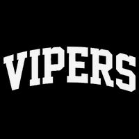 Vipers Arch Vintage Retro College Athletic Sports Baby Bodysuit