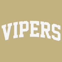 Vipers Arch Vintage Retro College Athletic Sports Button