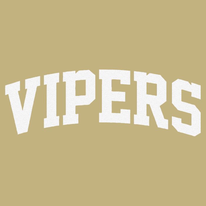 Vipers Arch Vintage Retro College Athletic Sports Button