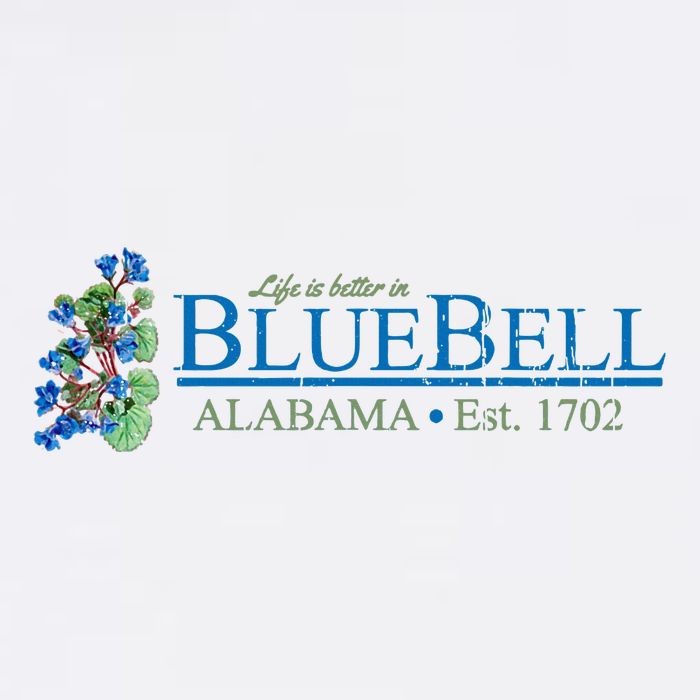 Vintage Bluebell Alabama From Hart Of Dixie Toddler T-Shirt