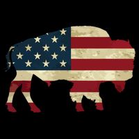 Vintage Buffalo American Flag Bison Patriotic Gift Poster