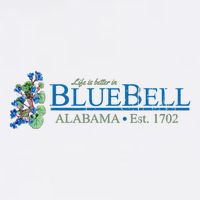 Vintage Bluebell Alabama From Hart Of Dixie Button