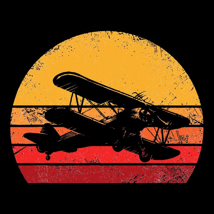 Vintage Biplane Aviator Hoodie
