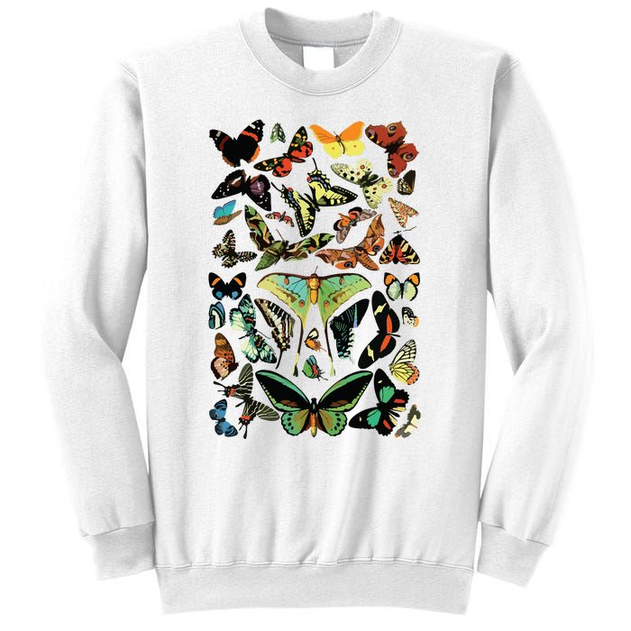 Vintage Butterflies Butterfly Collection Scientific Sweatshirt