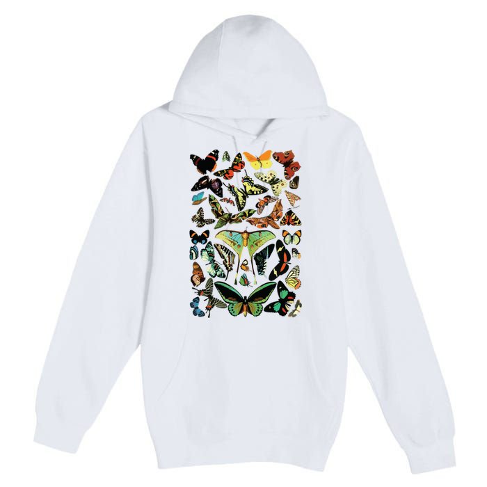 Vintage Butterflies Butterfly Collection Scientific Premium Pullover Hoodie