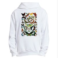 Vintage Butterflies Butterfly Collection Scientific Urban Pullover Hoodie