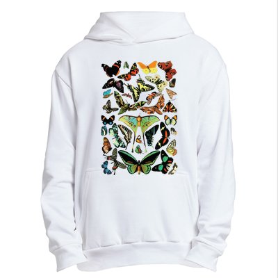 Vintage Butterflies Butterfly Collection Scientific Urban Pullover Hoodie