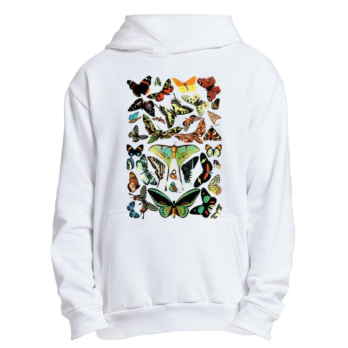 Vintage Butterflies Butterfly Collection Scientific Urban Pullover Hoodie