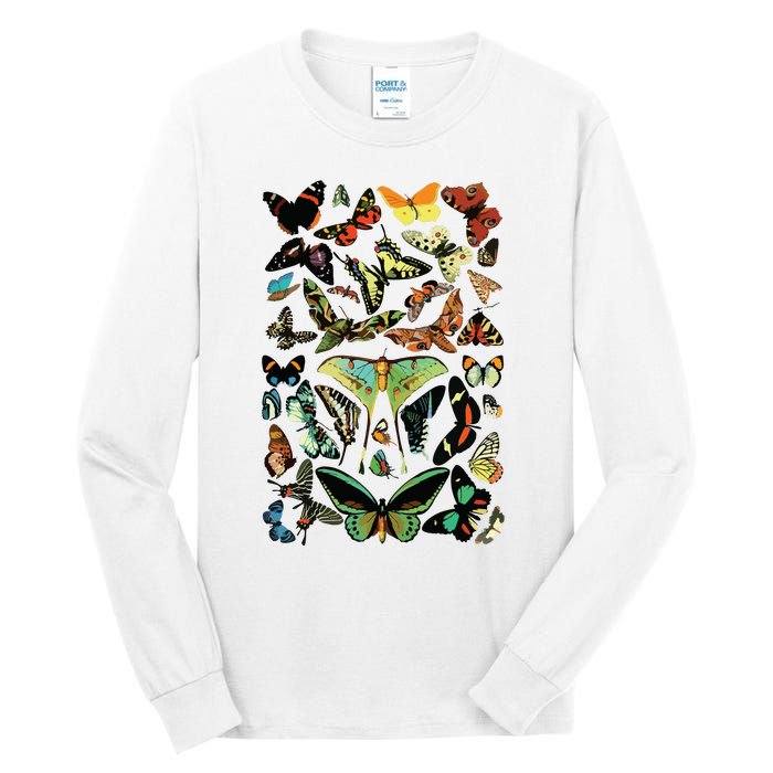 Vintage Butterflies Butterfly Collection Scientific Tall Long Sleeve T-Shirt