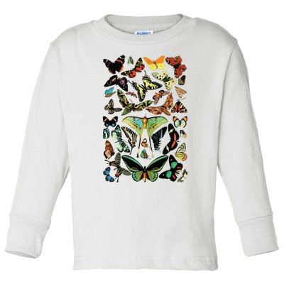 Vintage Butterflies Butterfly Collection Scientific Toddler Long Sleeve Shirt