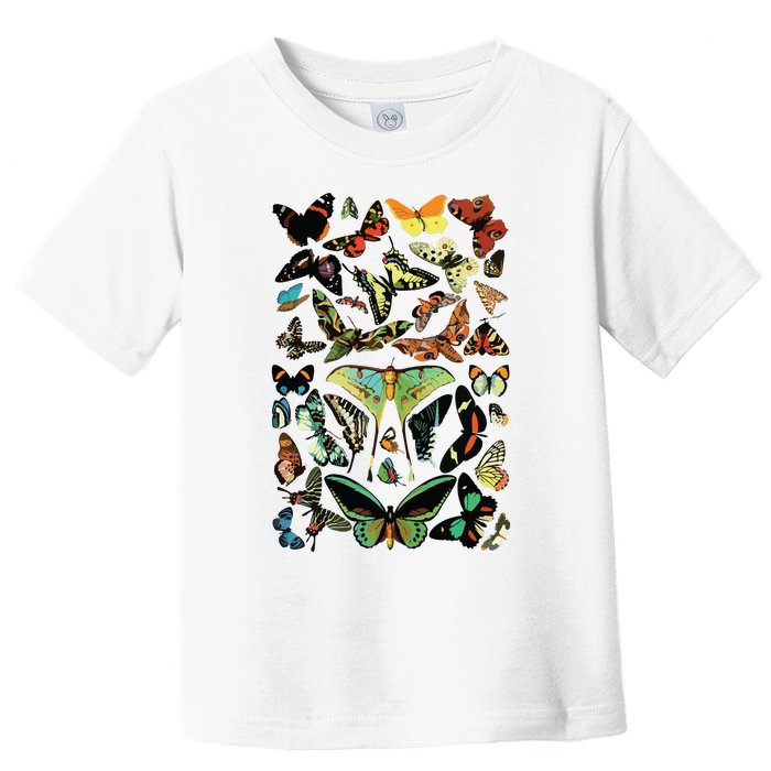 Vintage Butterflies Butterfly Collection Scientific Toddler T-Shirt