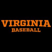 Virginia Baseball Block Hoodie