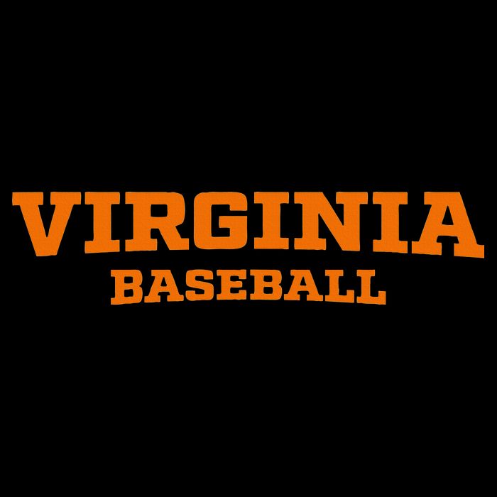 Virginia Baseball Block Hoodie