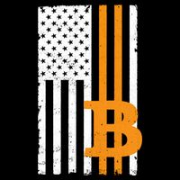 Vintage Bitcoin BTC USA Flag Crypto Currency Traders Bitcoin Bucket Hat
