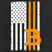 Vintage Bitcoin BTC USA Flag Crypto Currency Traders Bitcoin Hat
