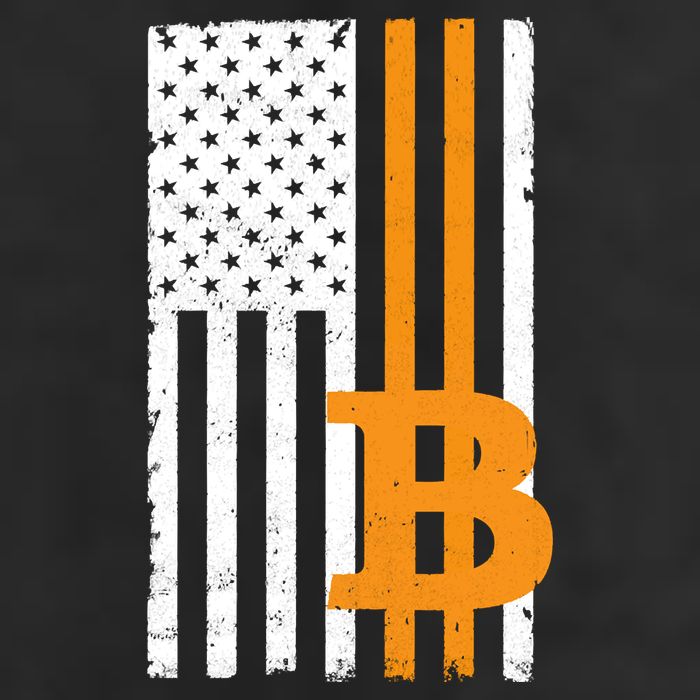 Vintage Bitcoin BTC USA Flag Crypto Currency Traders Bitcoin Hat