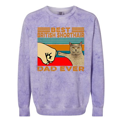 Vintage Best British Shorthair Cat Dad Ever Gift Colorblast Crewneck Sweatshirt